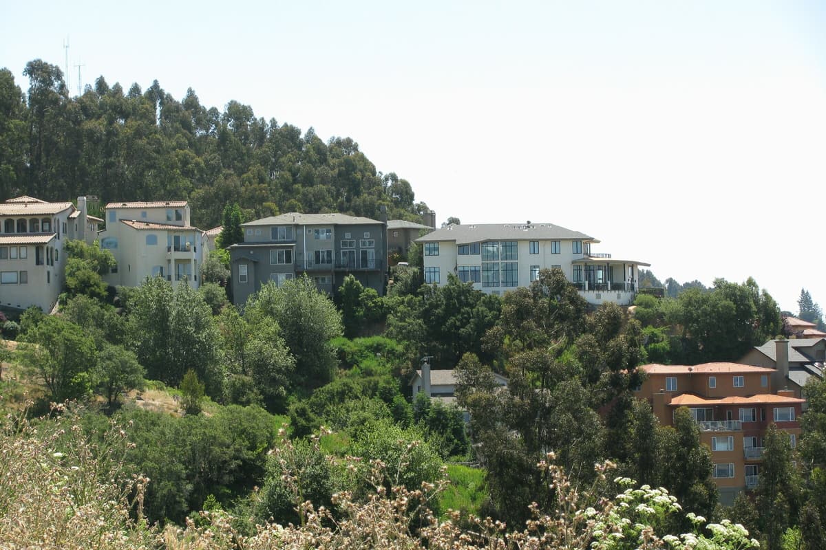 Homes on a wooded East Bay hillside