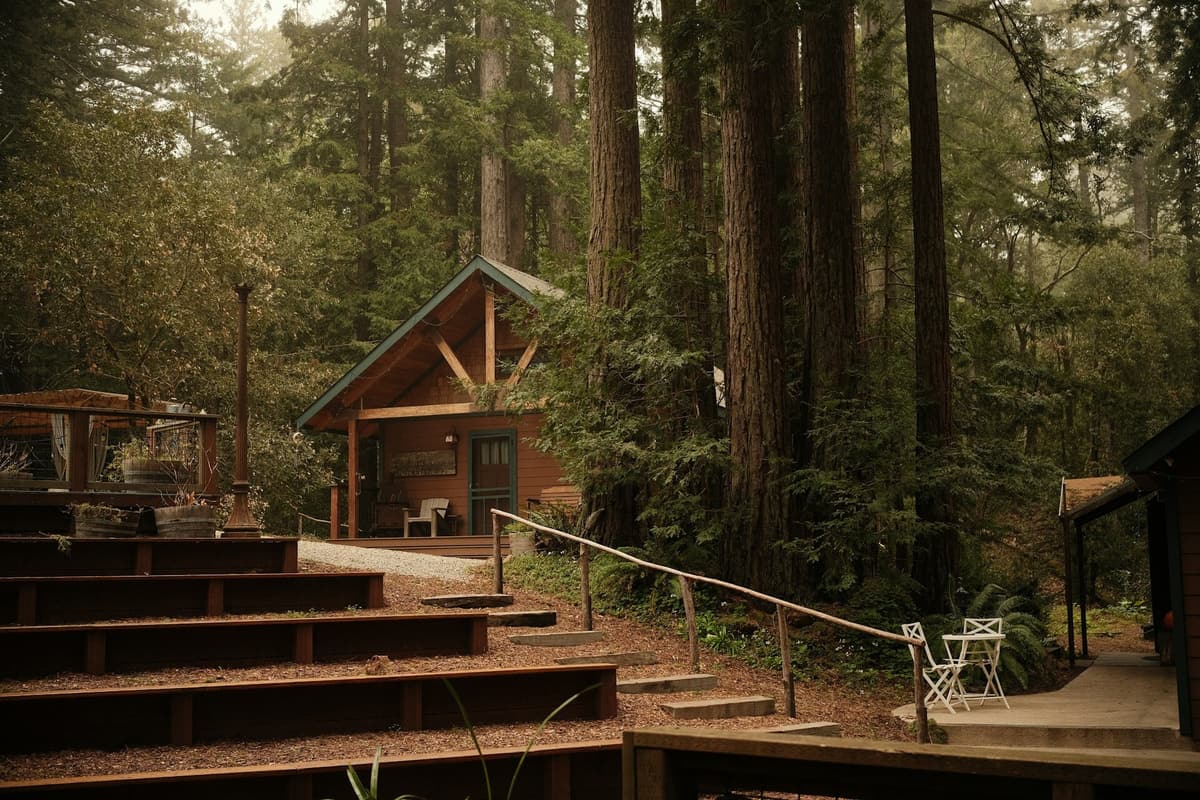 A cabin and wooden deck among tall redwoods on the Peninsula