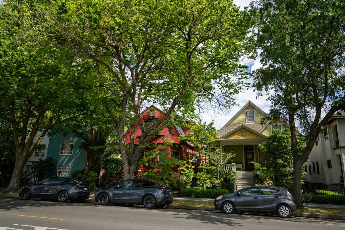 Older homes on a tree-lined street in Sacramento